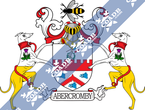 abercromby-supporters-7.png