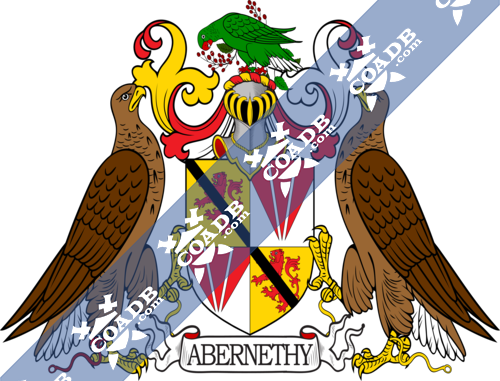 abernethy-supporters-3.png