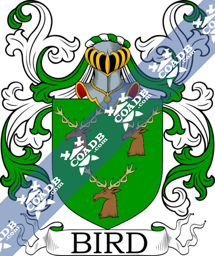 Bird Family Crest, Coat of Arms and Name History