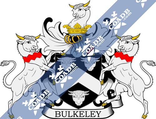 bulkeley-supporters-3.png