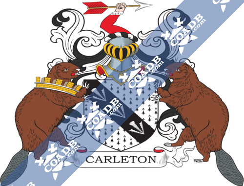 carleton-supporters-7.png