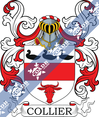 McNeil (Scottish) Coat of Arms (Family Crest) Image Download