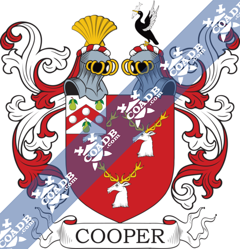 cooper-twocrest-37.png