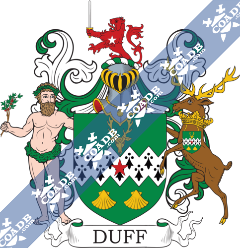 duff-supporters-5.png