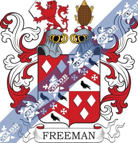 freeman-twocrest-1.png