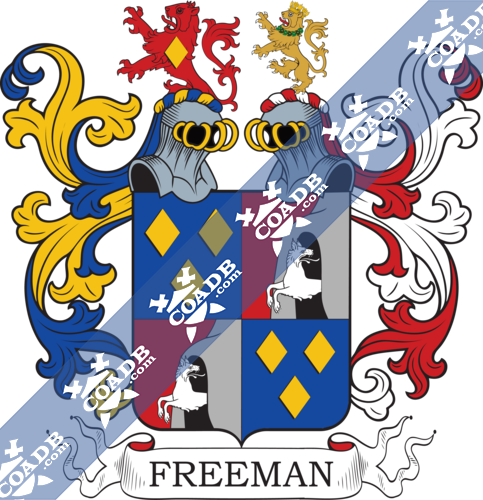 freeman-twocrest-6.png