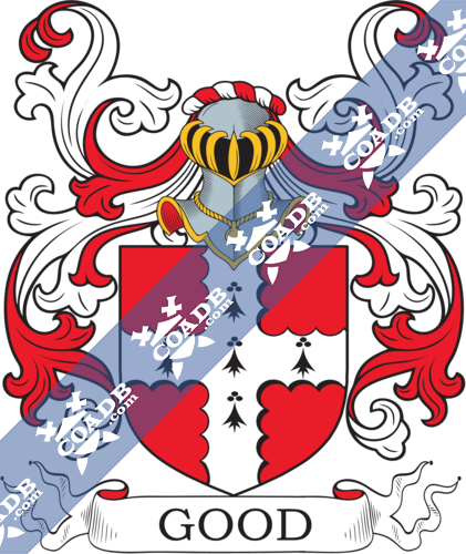 Coomer Coat of Arms, Family Crest & History 11x17 Print - Name Meaning Plus Genealogy, Family Tree Research - Surname Origin: England/English : : Everything Else