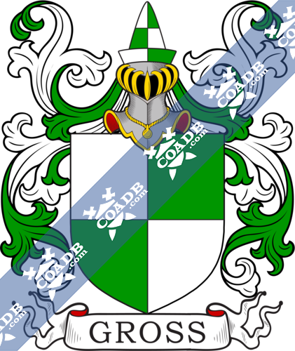 Wild Name Meaning, Family History, Family Crest & Coats of Arms, German