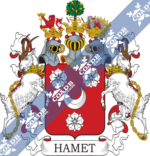 hammet-twocrest-2.png