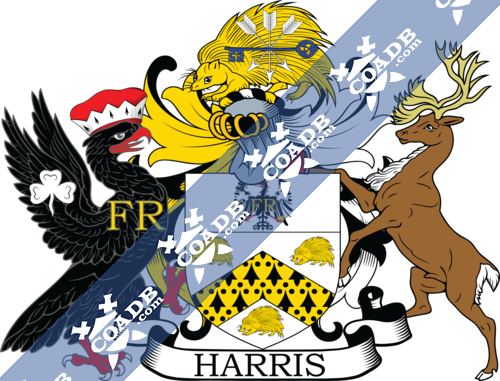 harris-supporters-1.png