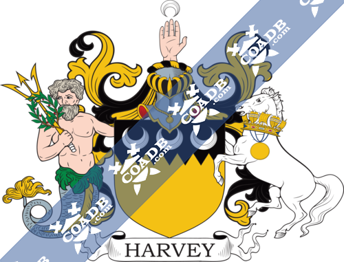 harvey-supporters-25.png