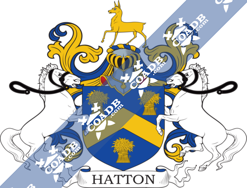 hatton-supporters-2.png