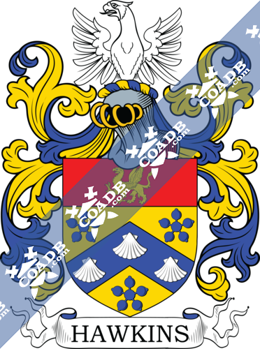 Hawkins Family Crest, Coat of Arms and Name History