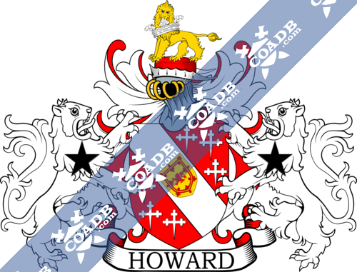 howard-supporters-9.png