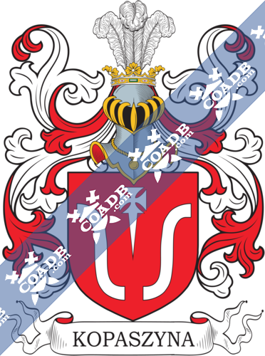 kopaszyna-withcrest-1.png