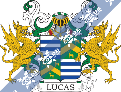 lucas-supporters-2.png