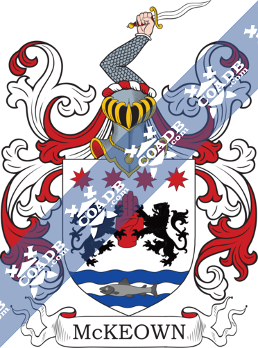 McKenna (Irish) Coat of Arms (Family Crest) Image Download