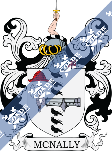 McNally Family Crest, Coat of Arms and Name History