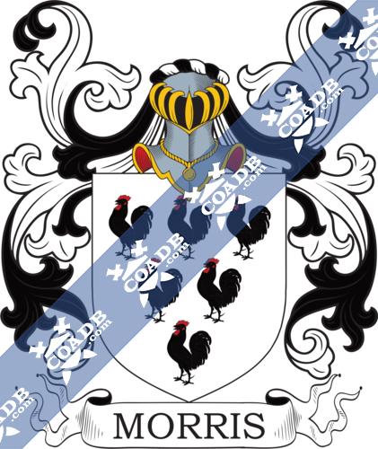 Wild Name Meaning, Family History, Family Crest & Coats of Arms, German