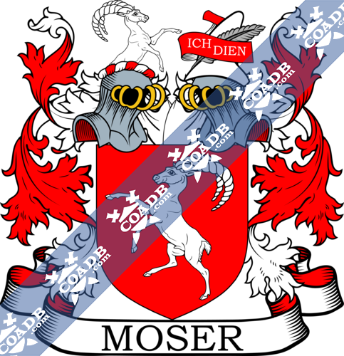 moser-twocrest-13.png