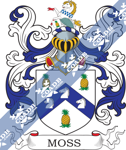 Moss Family Crest, Coat of Arms and Name History