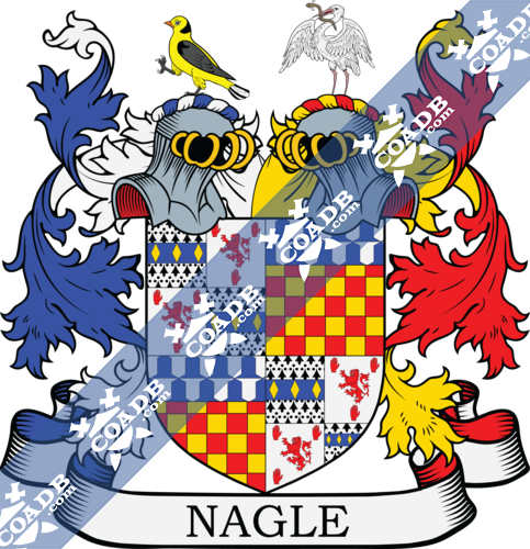 nagle-twocrest-3.png