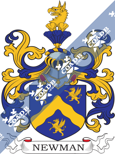 Newman Family Crest, Coat Of Arms And Name History