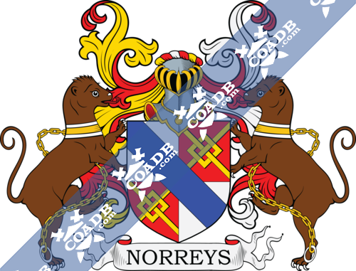norris-supporters-17.png