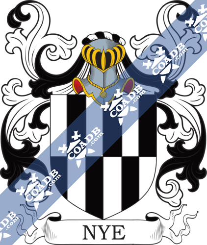 Nye Family Crest, Coat of Arms and Name History