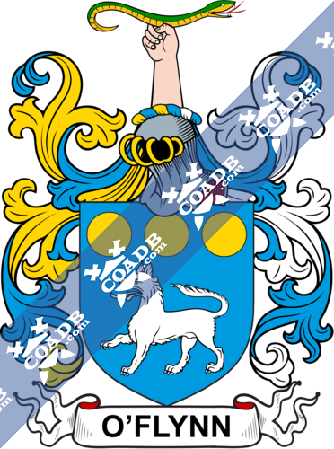 O'Flynn Family Crest, Coat of Arms and Name History
