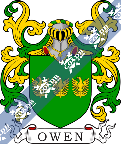 Owen Family Crest, Coat of Arms and Name History