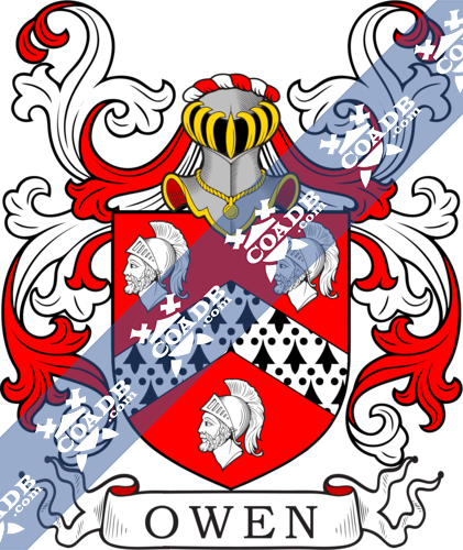 Owen Family Crest, Coat of Arms and Name History