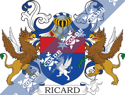 ricard-supporters-6.png