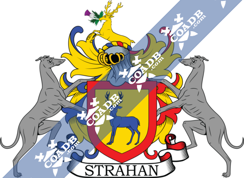 strahan-supporters-5.png