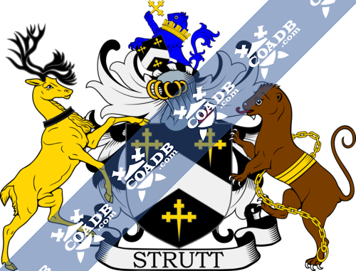 strutt-supporters-2.png