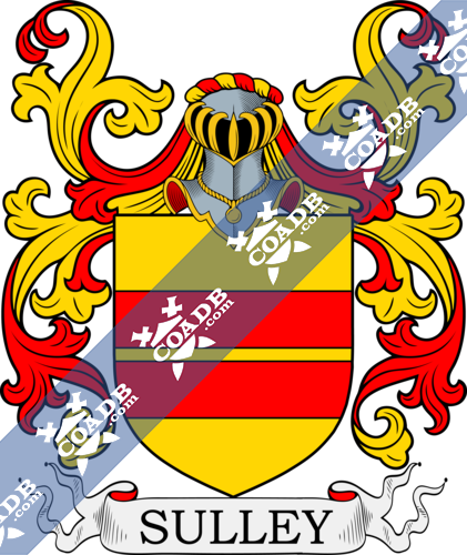 Sullivan Name Meaning, Family History, Family Crest & Coats of Arms