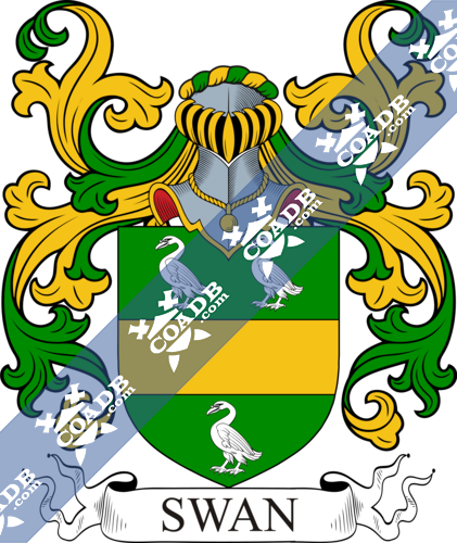 Swan Family Crest, Coat of Arms and Name History – COADB / Eledge Family  Genealogy