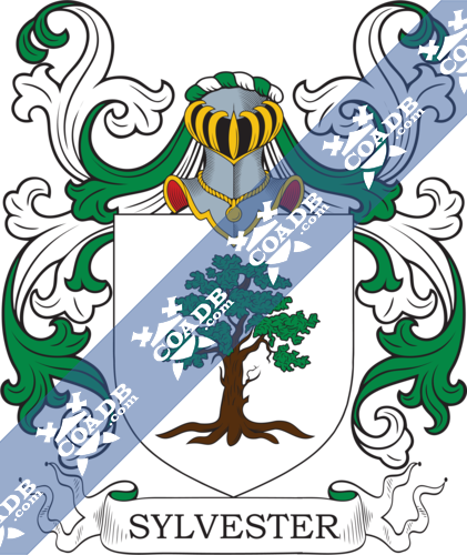 sylvester-family-crest-coat-of-arms-and-name-history