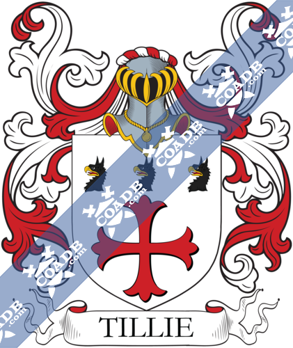 Tillie Family Crest, Coat of Arms and Name History