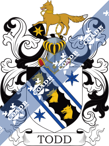 Toddyn Name Meaning, Family History, Family Crest & Coats of Arms