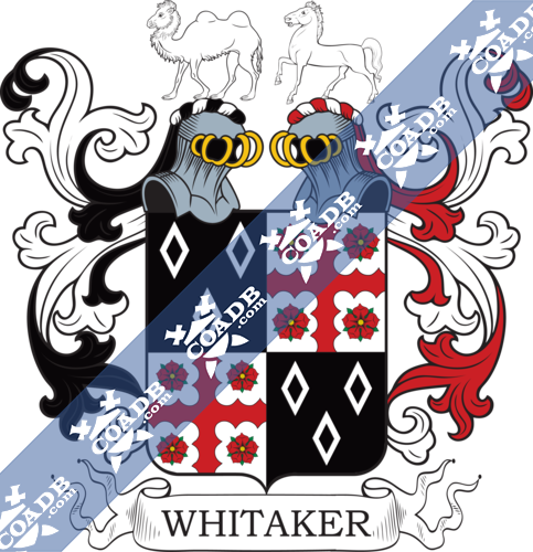 whitaker-twocrest-3.png