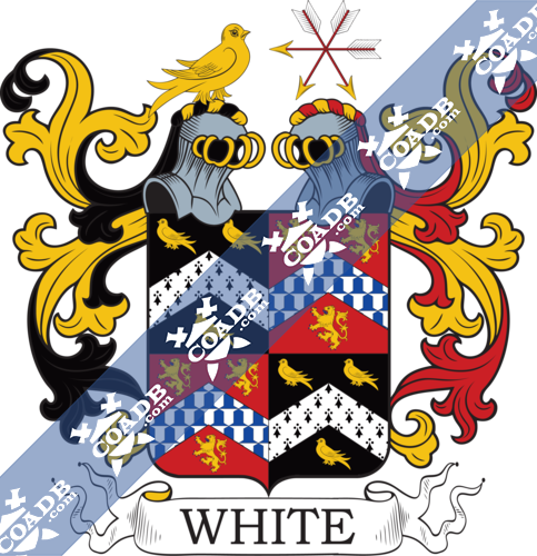 white-twocrest-87.png