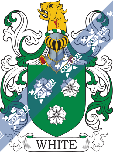 Catalano Name Meaning, Family History, Family Crest & Coats of