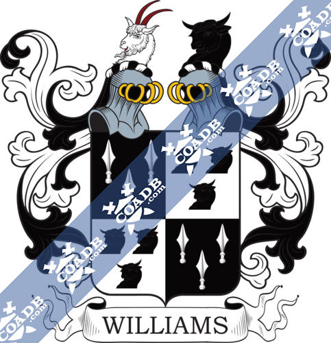 williams-twocrest-13.png
