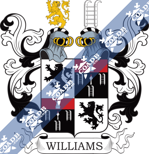 williams-twocrest-15.png