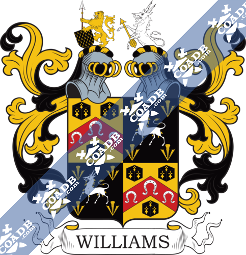 williams-twocrest-63.png